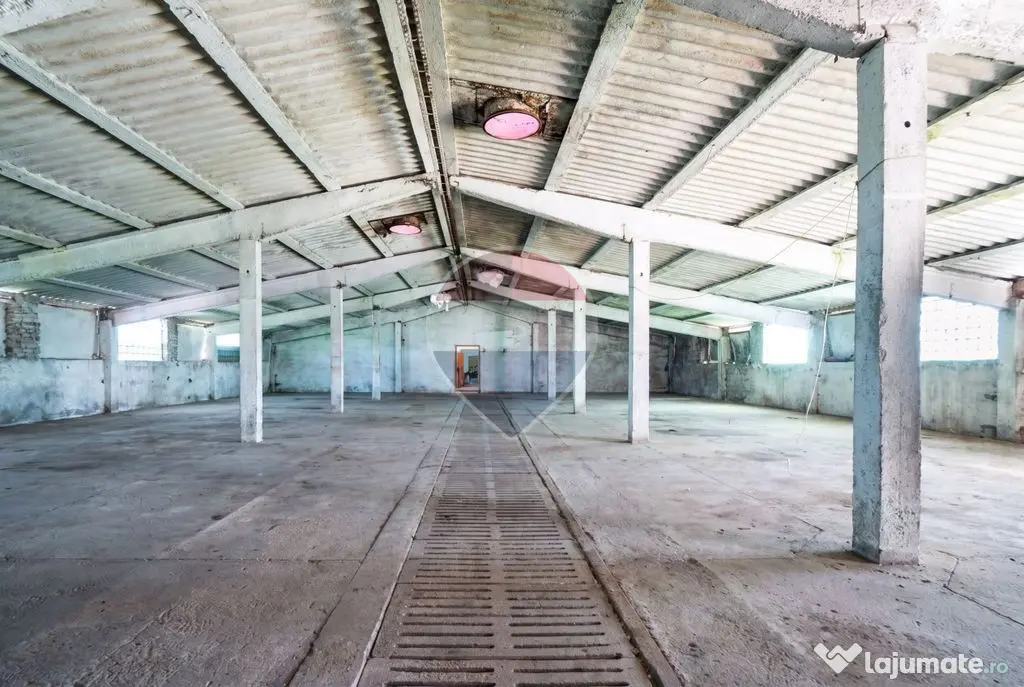 Spațiu industrial de vânzare- Hala - Comision % - Prejmer - Prejmer (Brasov)