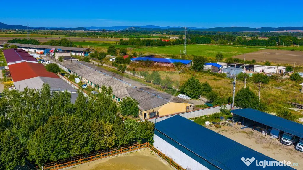 Spațiu industrial de vânzare- Hala - Comision % - Prejmer - Prejmer (Brasov)