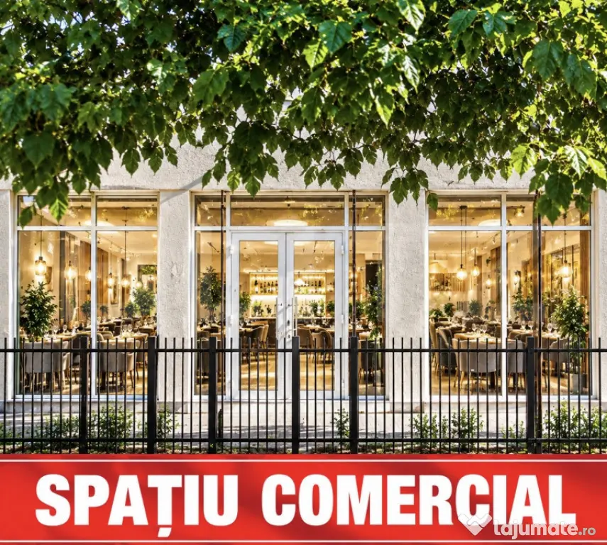 Spațiul comercial potrivit pentru visul tău! Centrul Regio - Timisoara (Timis)