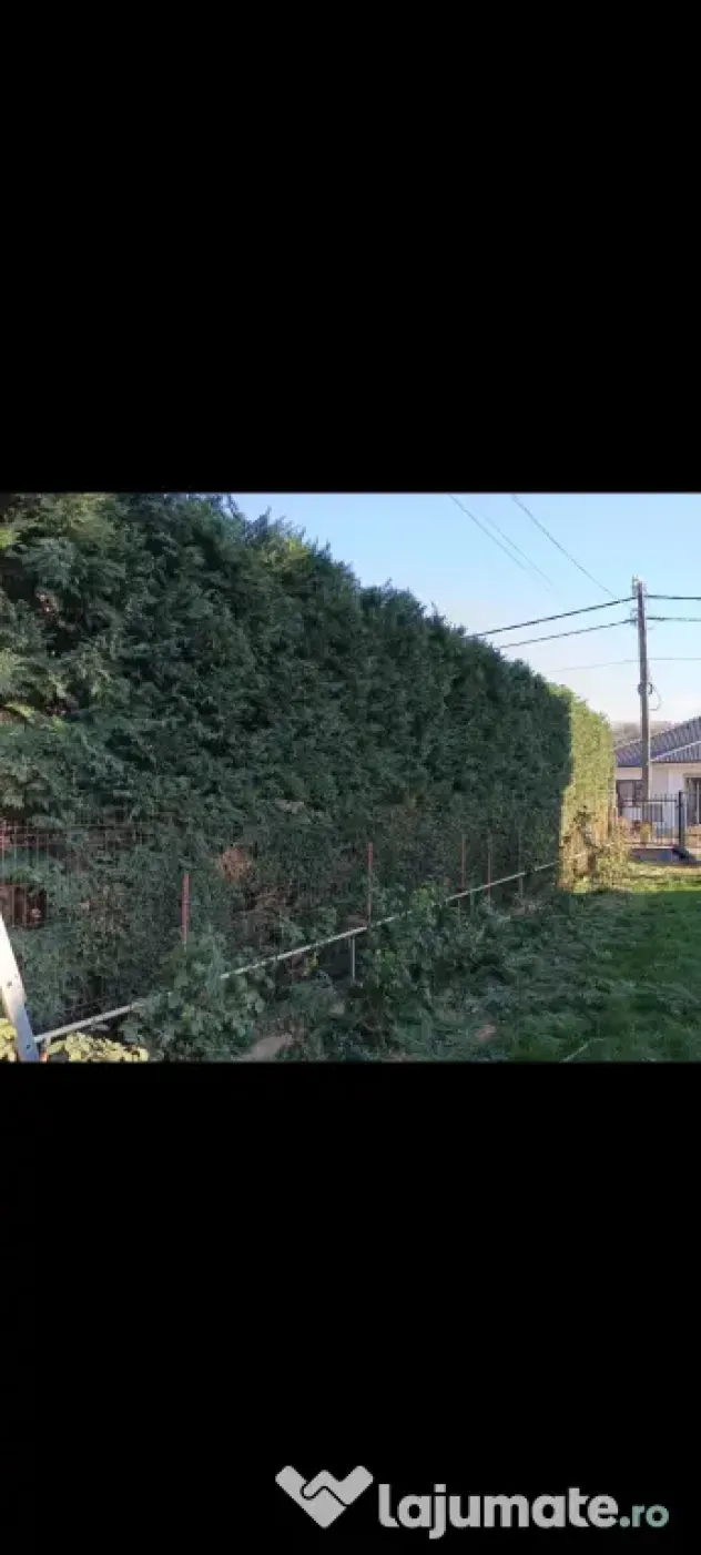 Lucrări de grădinărit