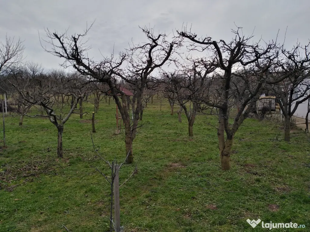 Lucrări de grădinărit