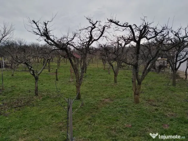 Lucrări de grădinărit
