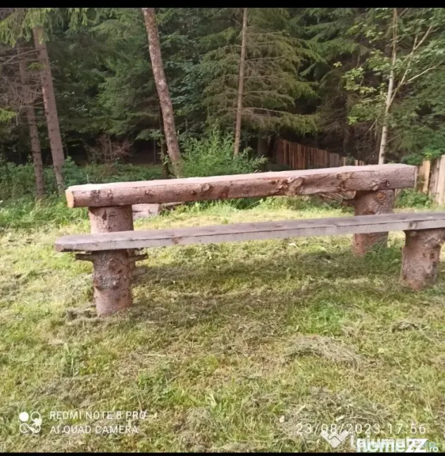 Teren extravilan - Borsec (Harghita)