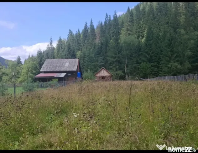 Teren extravilan - Borsec (Harghita)