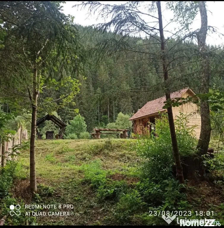 Teren extravilan - Borsec (Harghita)