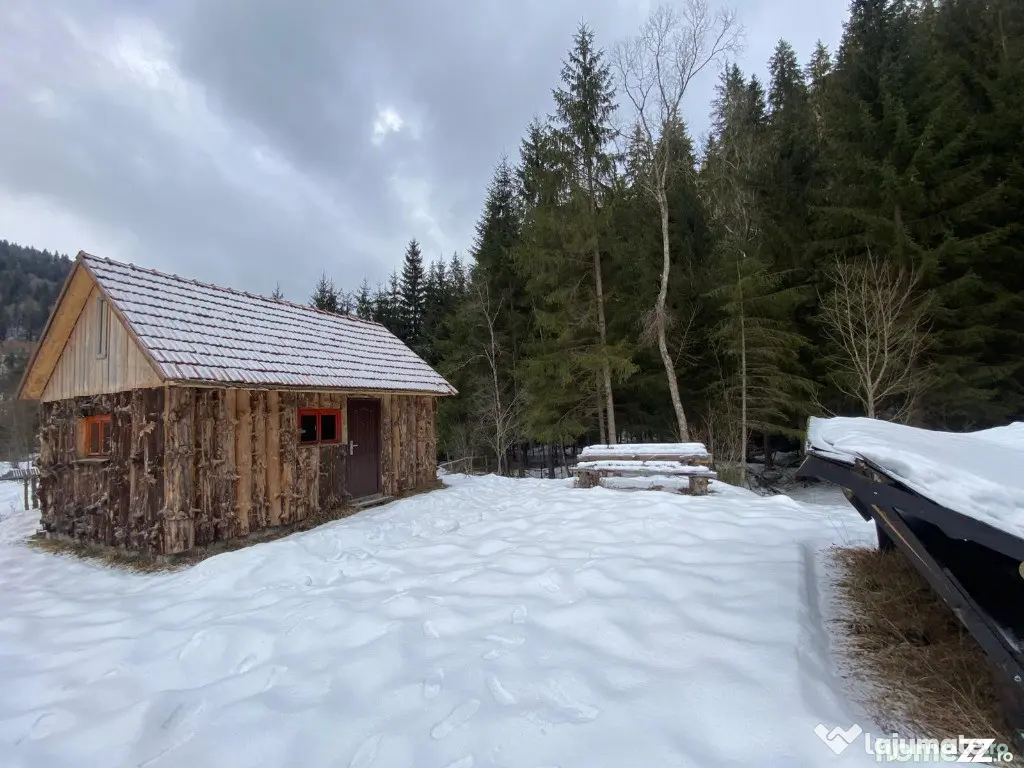 Teren extravilan - Borsec (Harghita)