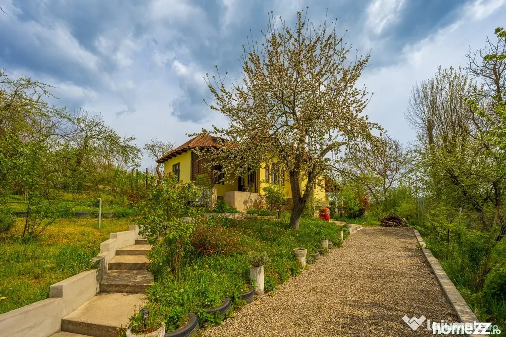 Provita de Sus, Prahova, Casa renovata, Comision 0 % - Provita De Sus (Prahova)