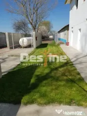 AFACERE LA CHEIE FERMA DE PORCI 