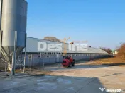 AFACERE LA CHEIE FERMA DE PORCI 