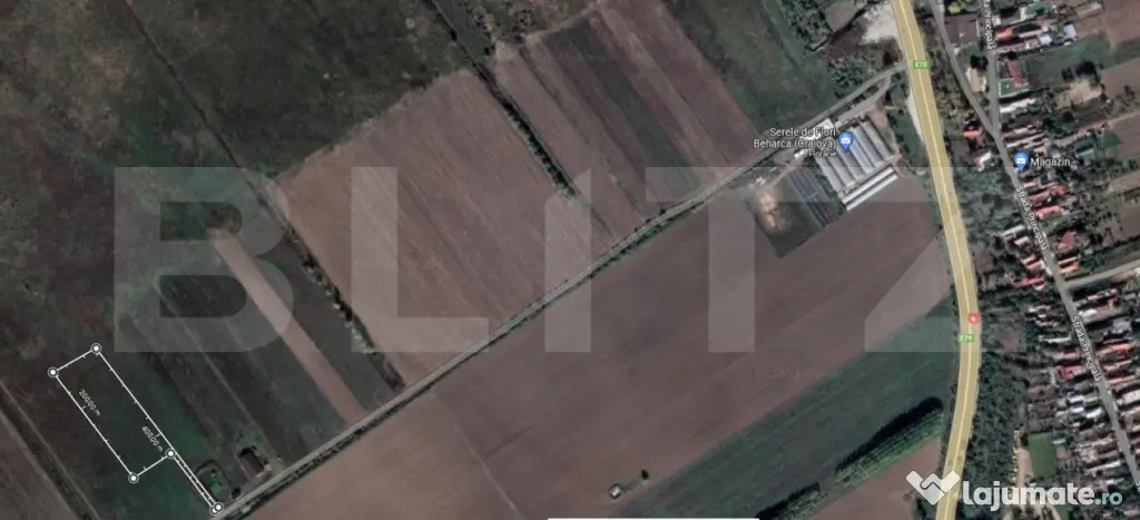 Teren extravilan, 6000mp, zona sere Beharca - Cotofenii Din Fata (Dolj)