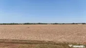 Teren Buftea langa padure 