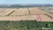 Teren Buftea langa padure 