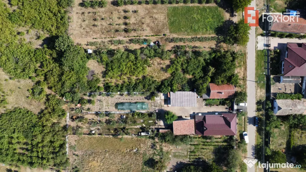 Teren intravilan 1519 mp, in Murani, com Pischia - Murani (Timis)
