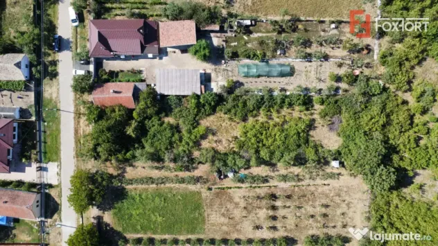 Teren intravilan 1519 mp, in Murani, com Pischia - Murani (Timis)