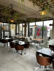 Set mobilier terasă – masă lemn masiv + fotolii/canapele metalice