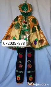 Costum Printul toamnei pentru copii,10-11-12-13 ani ,205 lei 
