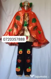 Costum Printul toamnei pentru copii,10-11-12-13 ani ,205 lei 