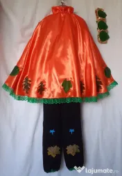 Costum Printul toamnei pentru copii,10-11-12-13 ani ,205 lei 