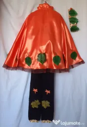 Costum Printul toamnei pentru copii,10-11-12-13 ani ,205 lei 