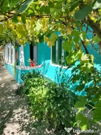 Vand casa locuibilă Izvoarele