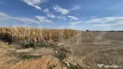 Teren extravilan de vanzare, 19.700 mp, pe centura Botizului