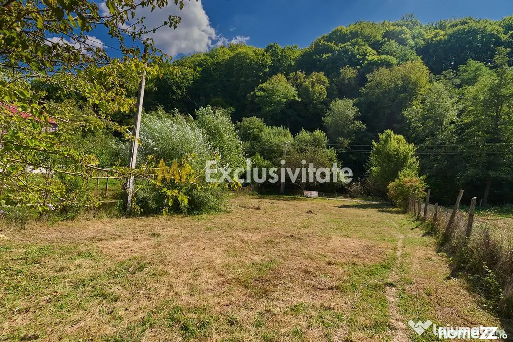 Teren intravilan de vanzare – Curtea de Arges, Str. Valea Doamnei - Curtea De Arges (Arges)