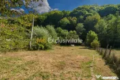 Teren intravilan de vanzare – Curtea de Arges, Str. Valea Doamnei