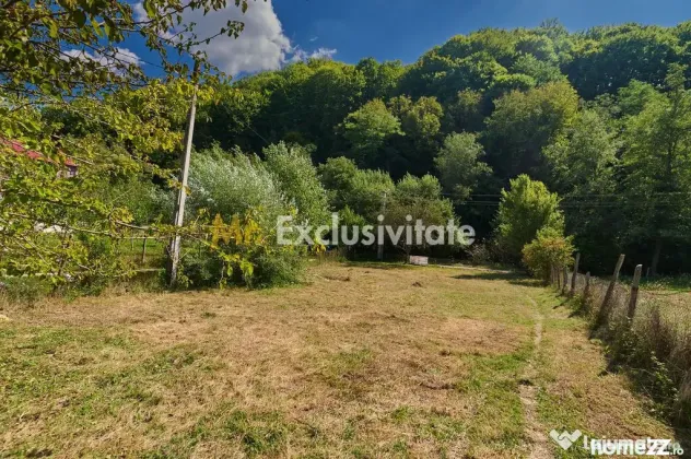 Teren intravilan de vanzare – Curtea de Arges, Str. Valea Doamnei - Curtea De Arges (Arges)