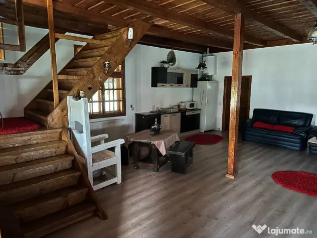Cabana cu piscina - Lacul Surduc - Fardea (Timis)