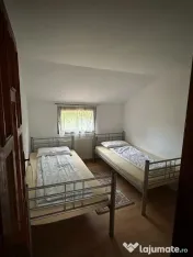 Cabana cu piscina - Lacul Surduc
