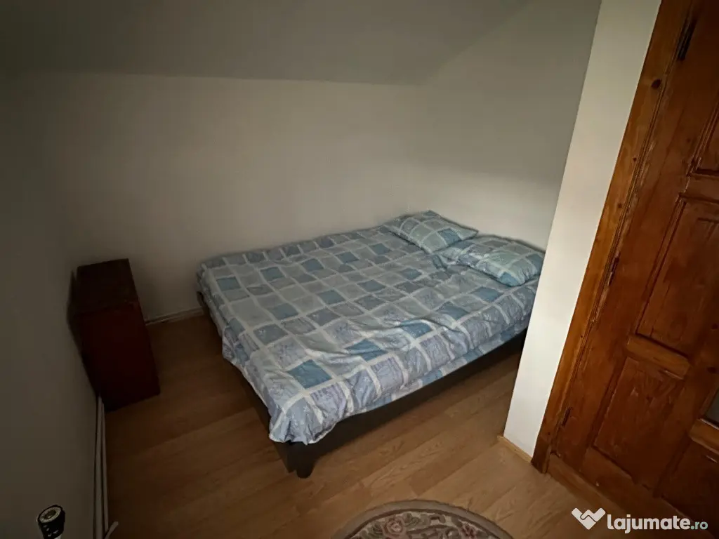Cabana cu piscina - Lacul Surduc - Fardea (Timis)