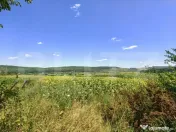 Teren intravilan/extravilan, 3150 mp, zona Schitu Duca 