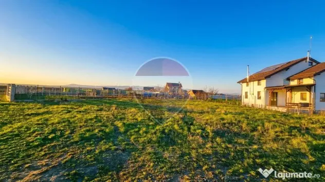 Teren intravilan Halchiu Strada Ciucas, 503mp - Halchiu (Brasov)