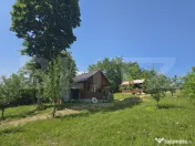Livadă de vânzare în Hodac!