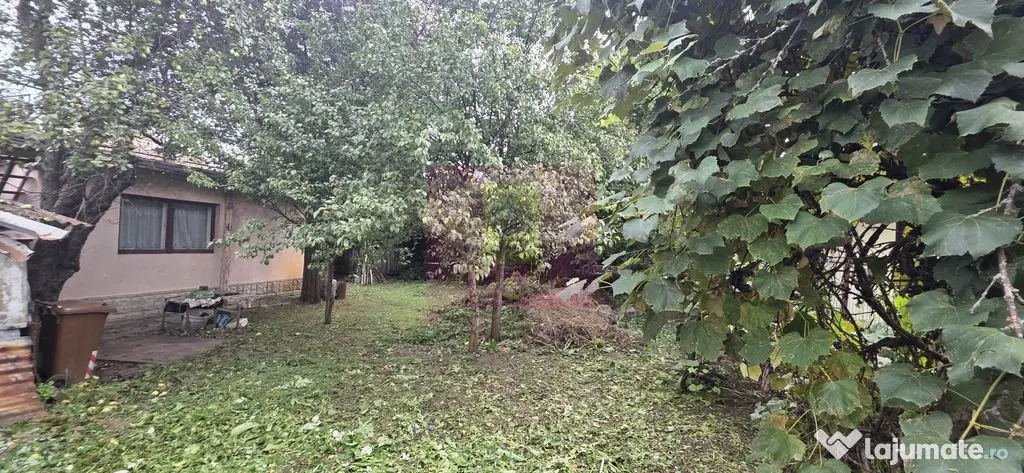 Casa de vanzare in Campina - Campina (Prahova)