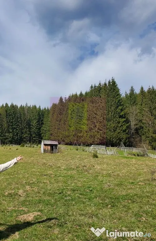 Teren intravilan 2500 mp in Valea Doftanei - Valea Doftanei (Prahova)