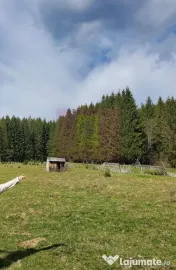 Teren intravilan 2500 mp in Valea Doftanei 