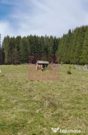 Teren intravilan 2500 mp in Valea Doftanei 