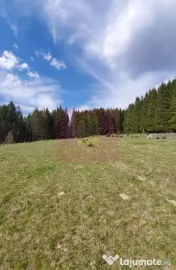 Teren intravilan 2500 mp in Valea Doftanei 
