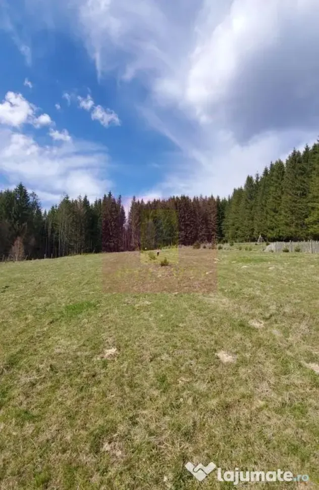 Teren intravilan 2500 mp in Valea Doftanei - Valea Doftanei (Prahova)