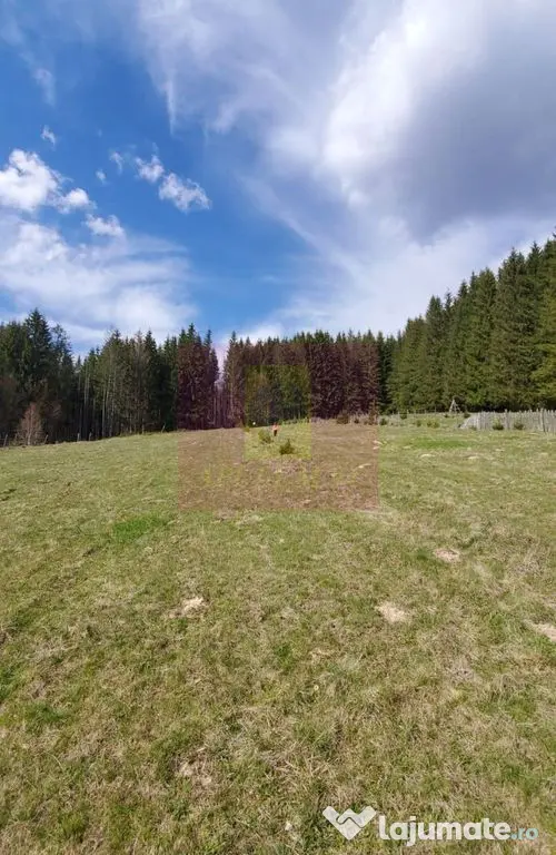 Teren intravilan 2500 mp in Valea Doftanei - Valea Doftanei (Prahova)