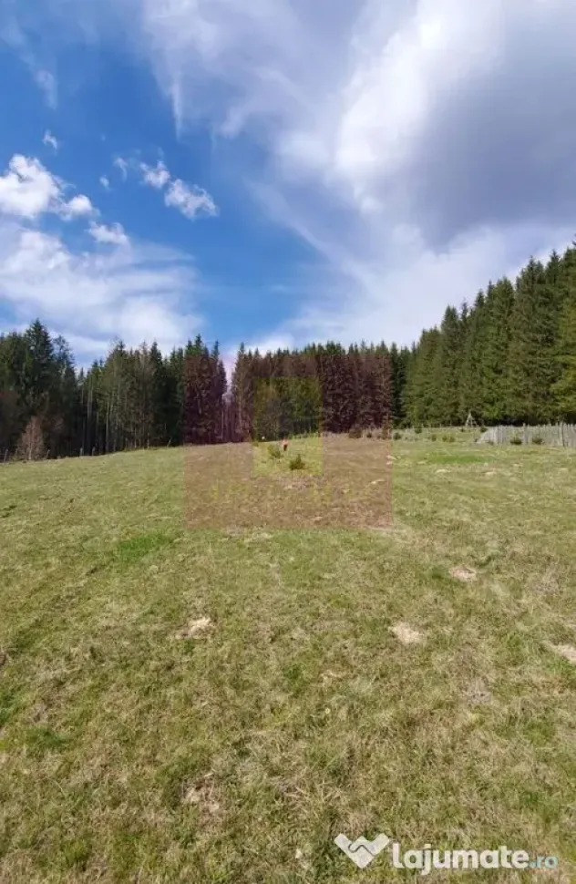 Teren intravilan 2500 mp in Valea Doftanei - Valea Doftanei (Prahova)