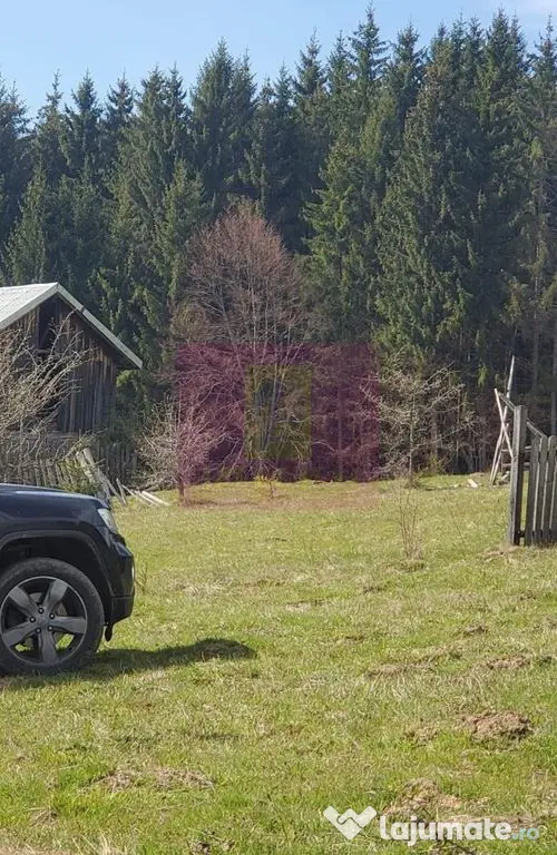Teren intravilan 2500 mp in Valea Doftanei - Valea Doftanei (Prahova)
