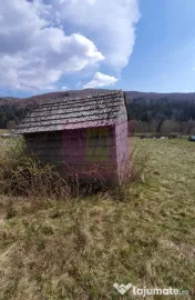 Teren intravilan 2500 mp in Valea Doftanei 