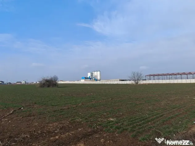 Dragomiresti Valea - Langa Centura, teren 31.200 mp, 28E/mp - Dragomiresti Vale (Bucuresti-Ilfov)
