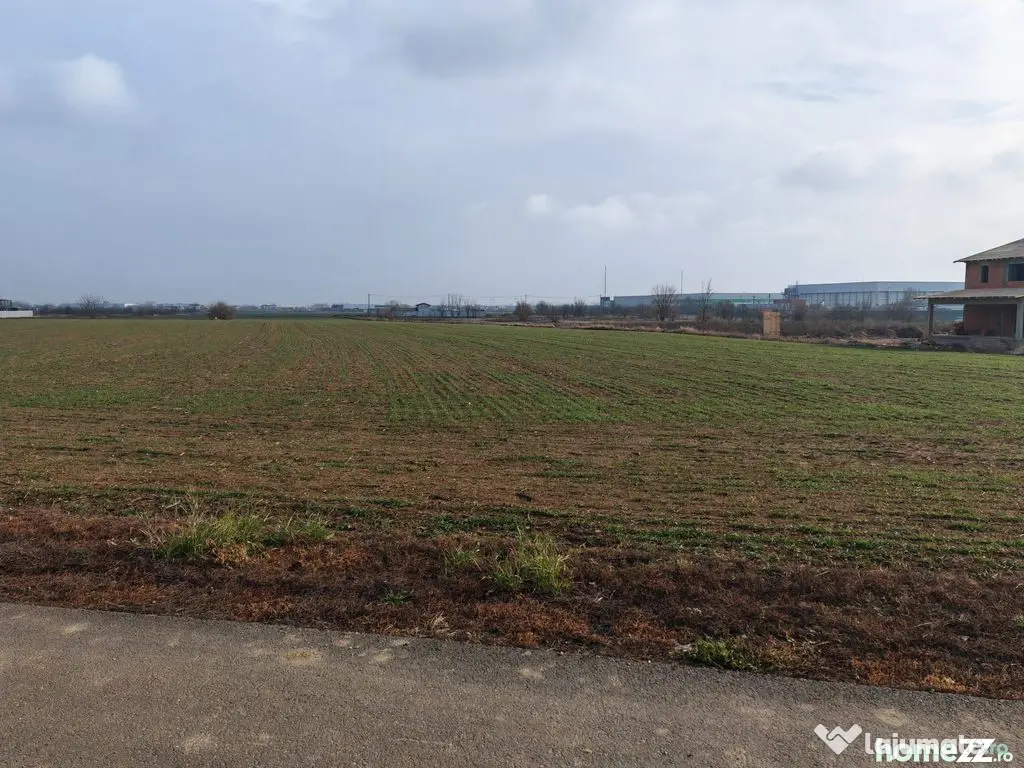 Dragomiresti Valea - Langa Centura, teren 31.200 mp, 28E/mp - Dragomiresti Vale (Bucuresti-Ilfov)