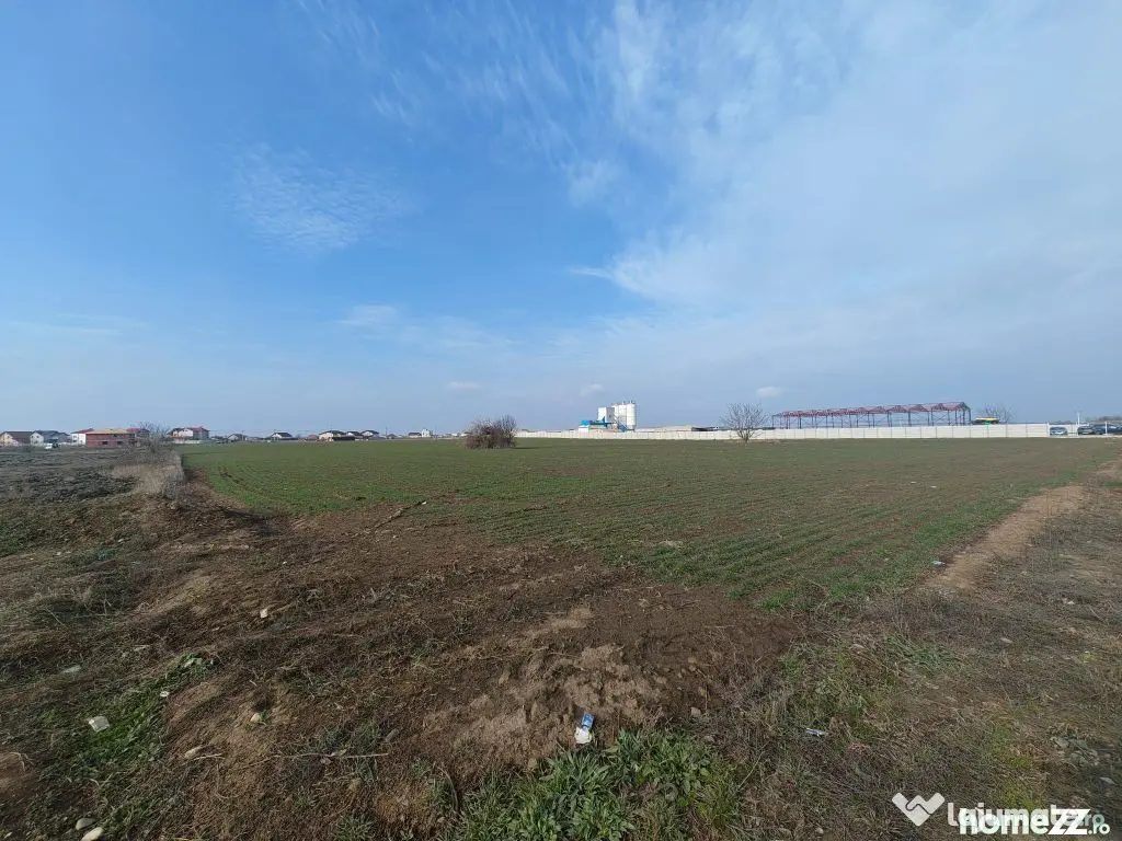 Dragomiresti Valea - Langa Centura, teren 31.200 mp, 28E/mp - Dragomiresti Vale (Bucuresti-Ilfov)