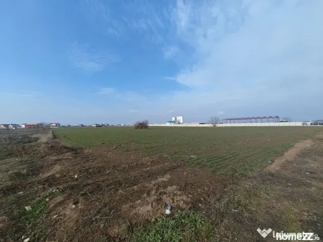 Dragomiresti Valea - Langa Centura, teren 31.200 mp, 28E/mp - Dragomiresti Vale (Bucuresti-Ilfov)