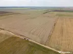 DASCALU - TEREN INTRAVILAN 7500 MP, INVESTITIE!