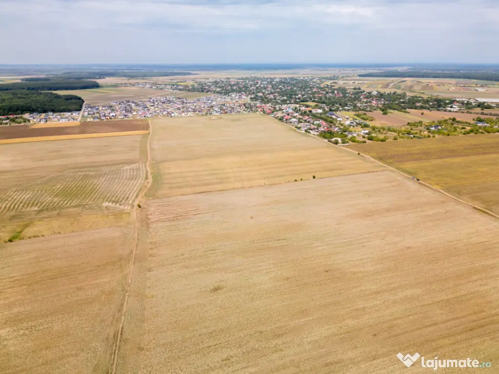 DASCALU - TEREN INTRAVILAN 7500 MP, INVESTITIE! - Dascalu (Bucuresti-Ilfov)